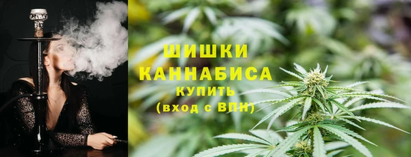 стафф Инта