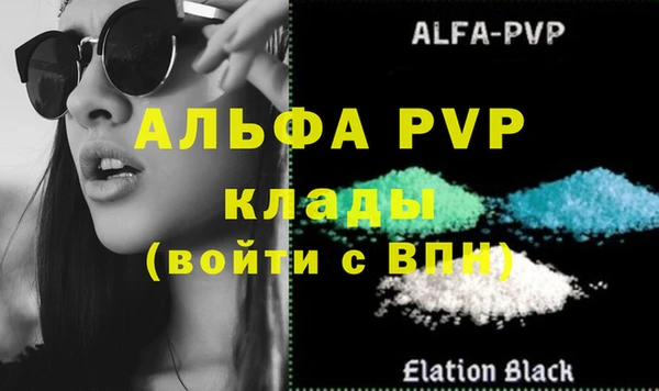 стафф Инта