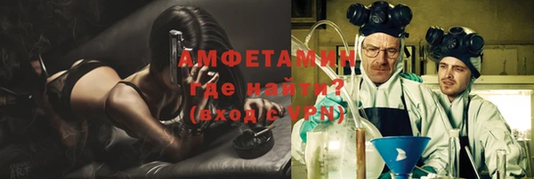 стафф Инта
