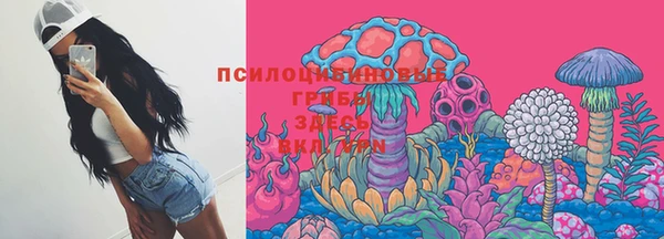 стафф Инта