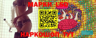 Альфа ПВП Обь