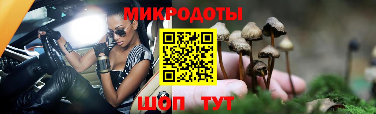 Псилоцибиновые грибы прущие грибы  даркнет сайт  Шахты  Псилоцибиновые грибы MAGIC MUSHROOMS  Вход с VPN 